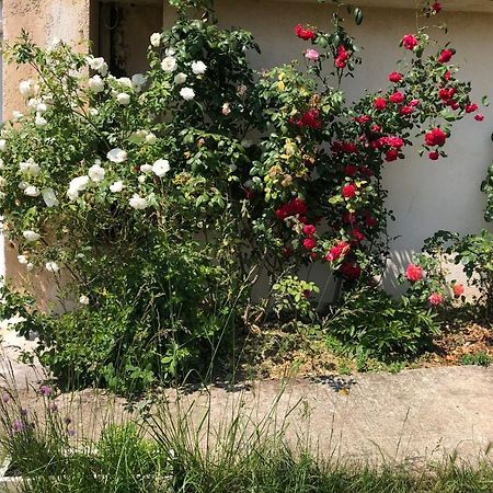 דירות Rillieux-la-Pape Le Jardin Suspendu מראה חיצוני תמונה