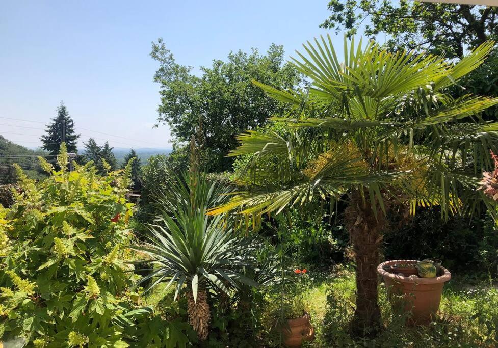 דירות Rillieux-la-Pape Le Jardin Suspendu מראה חיצוני תמונה