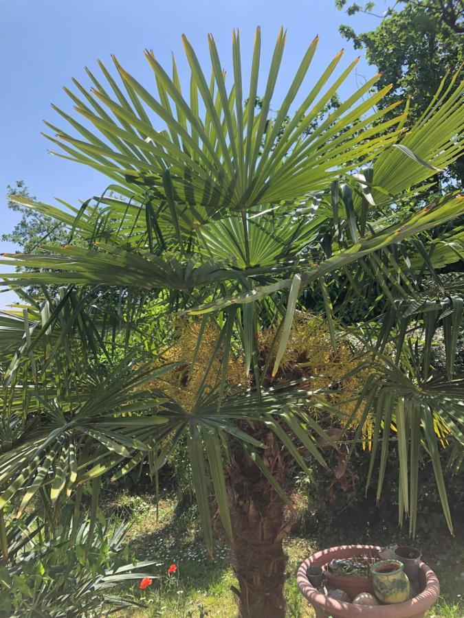 דירות Rillieux-la-Pape Le Jardin Suspendu מראה חיצוני תמונה