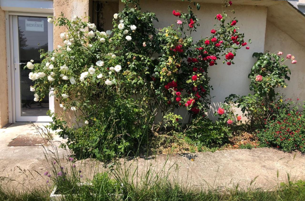 דירות Rillieux-la-Pape Le Jardin Suspendu מראה חיצוני תמונה